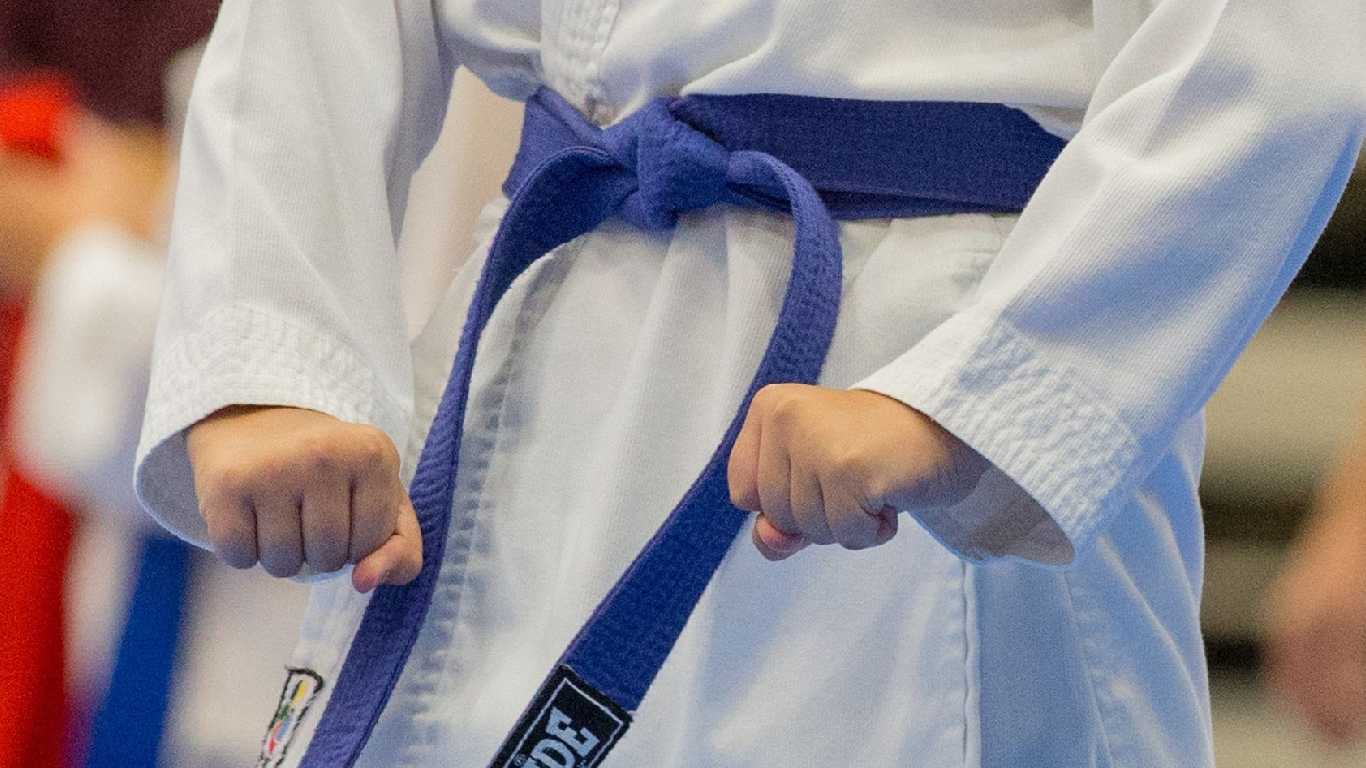 Karate, Premier liga Istanbul